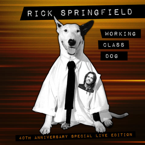 CD/DVD - Working Class Dog 40th Anniversary